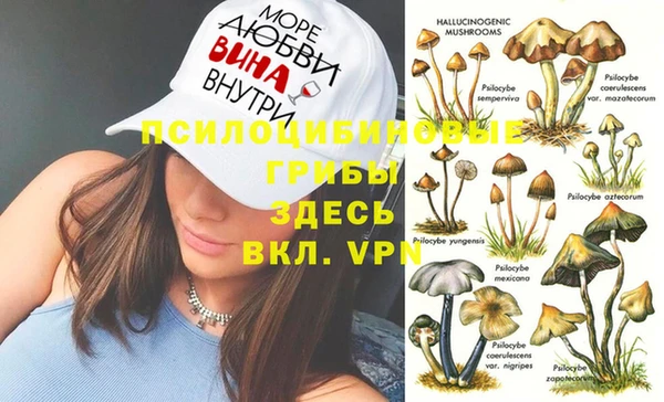 дурь Дмитров