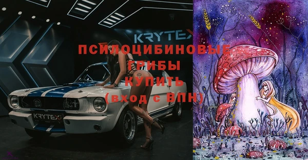 бошки Дмитриев