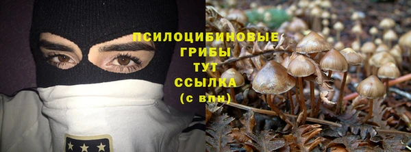 бошки Дмитриев