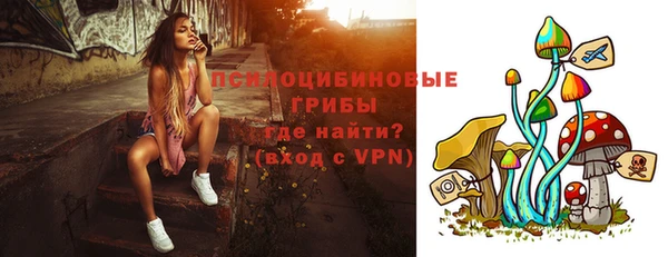 дурь Дмитров