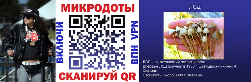 купить  сайты  Калачинск  Псилоцибиновые грибы прущие грибы 